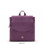 Kipling σακίδια μόδας ατελείωτο δαμάσκηνο γυναίκες Dannie μικρό σακίδιο Z0Z64R394